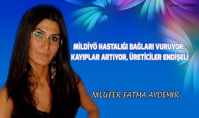 Mildiyö Hastalığı Bağları Vuruyor: Kayıplar Artıyor, Üreticiler Endişeli