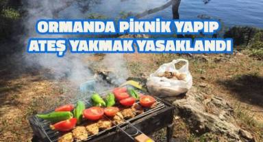 Ormanda piknik yapıp ateş yakmak yasaklandı