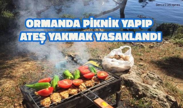 Ormanda piknik yapıp ateş yakmak yasaklandı