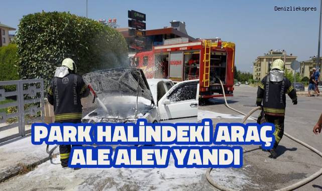 Park halindeki otomobil çıkan yangında kullanılamaz hale geldi