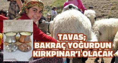 Tavas; Bakraç Yoğurdun Kırkpınar'ı olacak