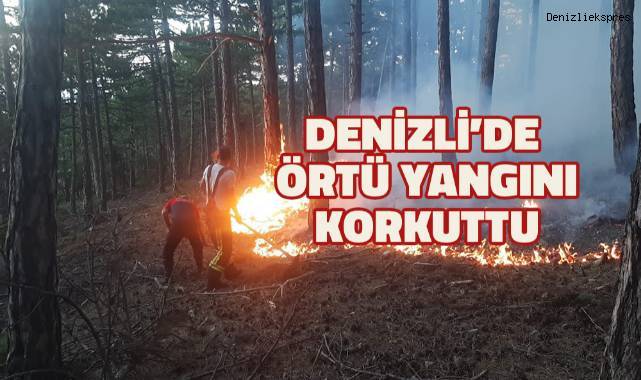 Tavas ilçesinde çıkan örtü yangını söndürüldü
