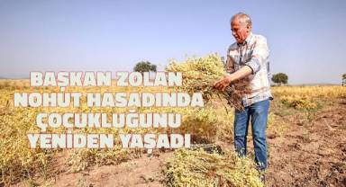 Başkan Zolan nohut hasadında çocukluğunu yeniden yaşadı