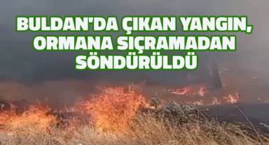 Buldan'da çıkan yangın, ormana sıçramadan söndürüldü