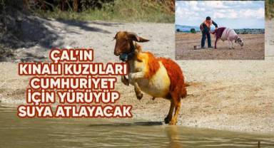 Çal’ın kınalı koçları, Cumhuriyet için yürüyüp, suya atlayacak.