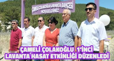 Çameli Çolakoğlu 1'inci Lavanta Hasat Etkinliği Yapıldı