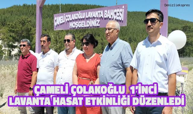 Çameli Çolakoğlu 1'inci Lavanta Hasat Etkinliği Yapıldı