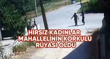 Hırsız kadınlar mahallelinin korkulu rüyası oldu