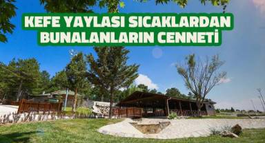 Kefe Yaylası sıcaktan bunalanların cenneti