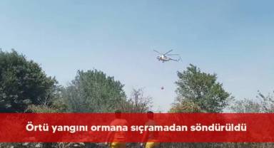 Örtü yangını ormana sıçramadan söndürüldü