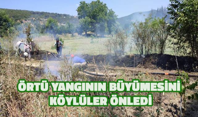 Örtü yangının büyümesini köylüler önledi