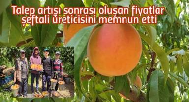Talep artışı sonrası oluşan fiyatlar şeftali üreticisini memnun etti
