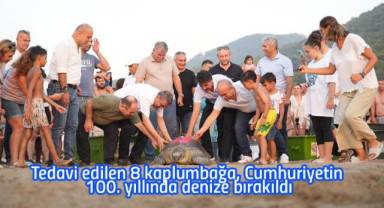 Tedavi edilen 8 kaplumbağa, Cumhuriyetin 100. yıllında denize bırakıldı