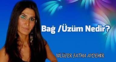Bağ /Üzüm Nedir?