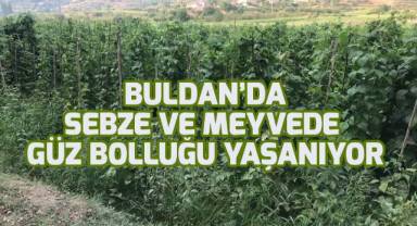 Buldan'da sebze meyve üretiminde güz bolluğu yaşanıyor