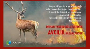 Çevrecilerden 'Yangın bölgelerinde avcılık yasaklansın' talebi