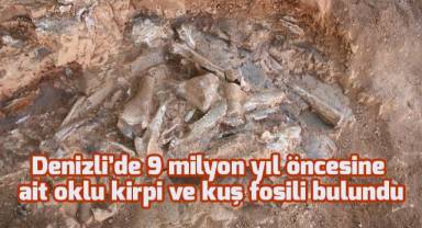 Denizli’de 9 milyon yıl öncesine ait oklu kirpi ve kuş fosili bulundu