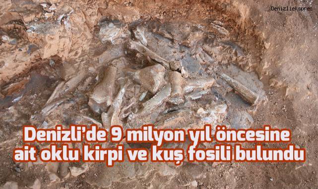 Denizli’de 9 milyon yıl öncesine ait oklu kirpi ve kuş fosili bulundu