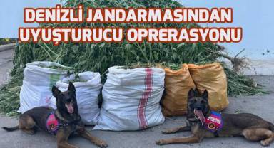 Denizli Jandarmasından uyuşturucu operasyonu