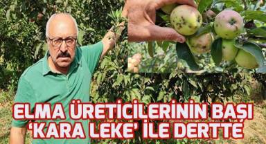 Elma üreticilerinin başı ‘kara leke’ ile dertte