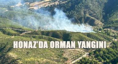 Honaz’da orman yangını