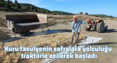 Kuru fasulyenin sofralara yolculuğu traktörle ezilerek başladı