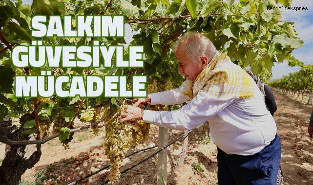 Salkım güvesiyle mücadele tarla gününde anlatıldı