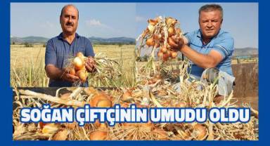 Soğan çiftçinin yeni umudu oldu