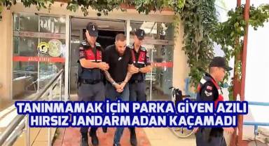 Tanınmamak için parka giyen azılı hırsız yine de jandarmadan kaçamadı