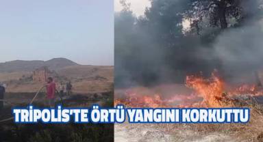 Tripolis'te örtü yangını korkuttu