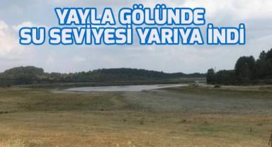Yayla Gölü’nde su seviyesi yarıya indi