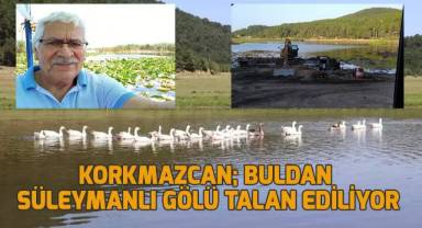 1. Derece sit alanı olan Süleymanlı Gölü risk altında: Bunun adı temizlik değil, talan