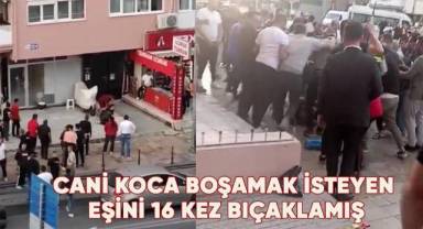 6 bıçak darbesi alan kadın taburcu edildi, meydan dayağı yiyen kocanın tedavisi sürüyor