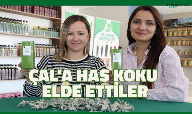 Antik kentlerdeki arkeolojik bilgilerden yararlanıp, Adaçayı Kolonyası yaptılar.