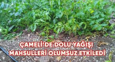Çameli'de dolu yağışı hayatı olumsuz etkiledi