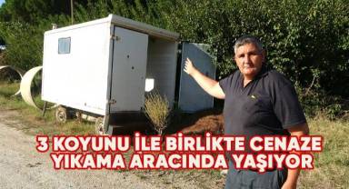 Cenaze yıkama aracı yuvası, 3 koyun ise ailesi oldu