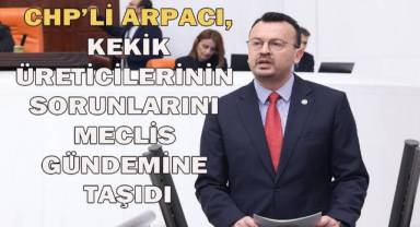 CHP'li Arpacı: