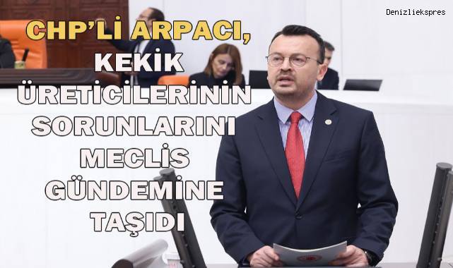 CHP'li Arpacı: