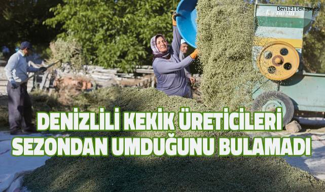 Denizlili kekik üreticileri sezondan umduğunu bulamadı