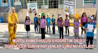 Dünya Hayvanlar Günü'nde minik öğrenciler, öğretmenleri ile birlikte sokak hayvanlarına mama verdi