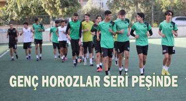 Genç horozlar seri peşinde