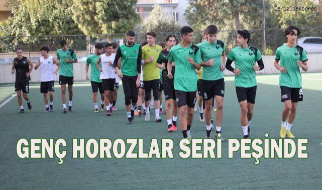 Genç horozlar seri peşinde