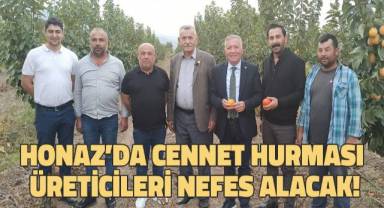 Honaz’da cennet hurması üreticileri nefes alacak!