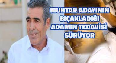 Muhtar adayının beğenmediği yorum yüzünden bıçakladığı adamın tedavisi sürüyor