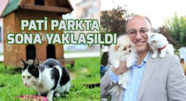 Pati Parkta sona yaklaşıldı