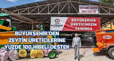 Zeytin üreticilerine yüzde 100 hibeli destek