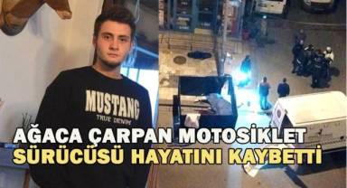 Ağaca çarpan motosiklet sürücüsü hayatını kaybetti