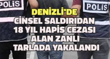 Başlık: Denizli'de Cinsel Saldırıdan 18 Yıl Hapis Cezası Alan Zanlı Tarlada Yakalandı