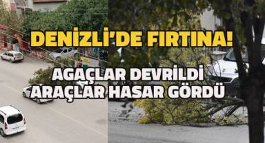 Denizli'de etkili fırtına! Ağaçlar devrildi, araçlar hasar gördü