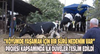 “Köyümde Yaşamak İçin Bir Sürü Nedenim Var” Projesi kapsamında ilk düveler teslim edildi
